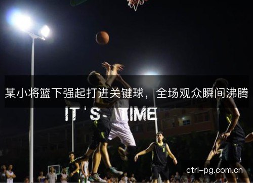 某小将篮下强起打进关键球，全场观众瞬间沸腾